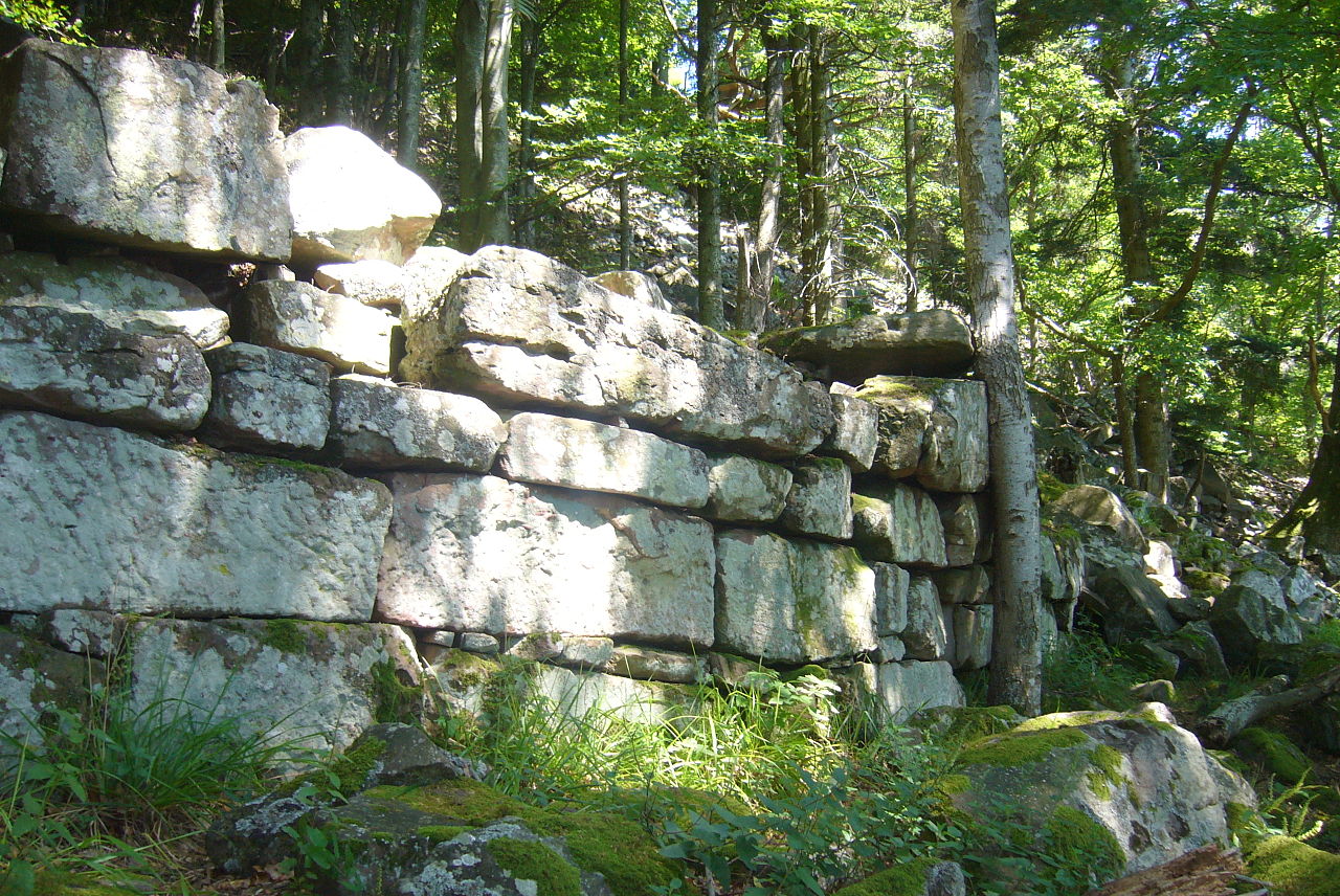 Enceinte protohistorique du Château du Frankenbourg
